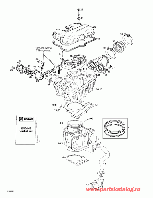 BRP - Cylinder, Cylinder Head