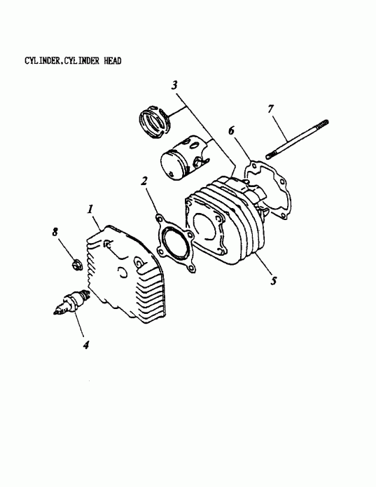 BRP Mini DS 90 2-strokes, 2002  - Cylinder, Cylinder Head 170-01