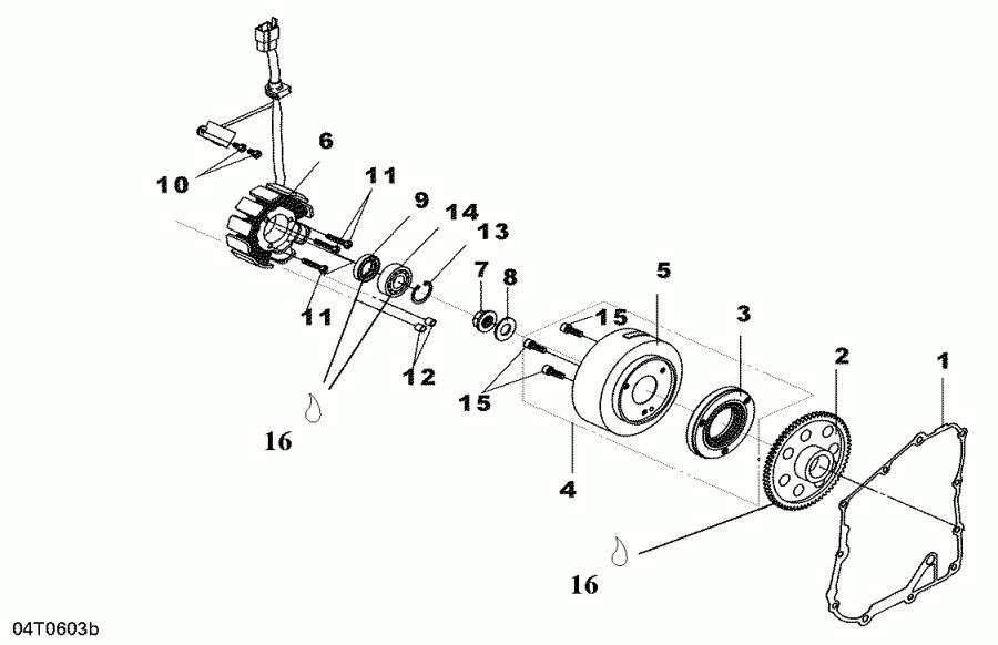 BRP DS 250, CE, 2006 - Magneto
