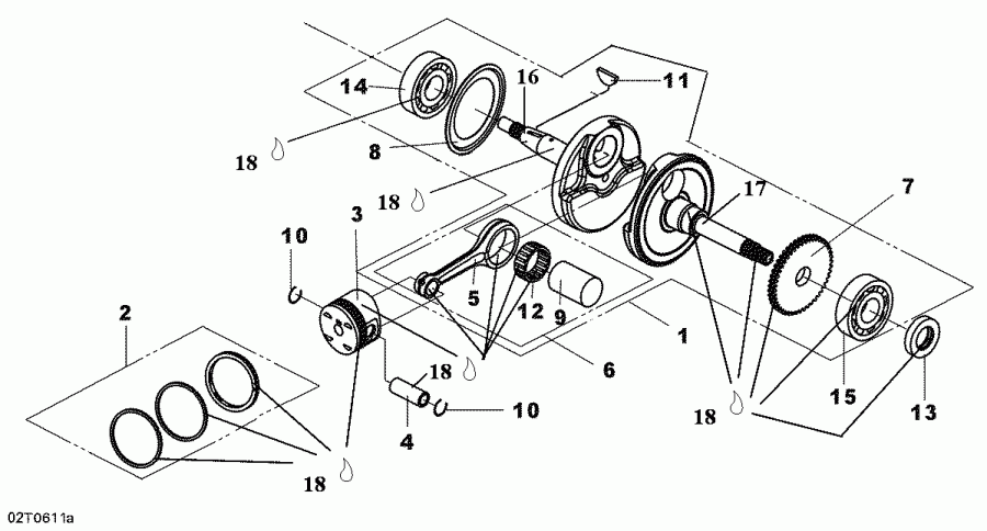  BRP DS 250 NA / Inter, 2006  - Crankshaft And Pistons