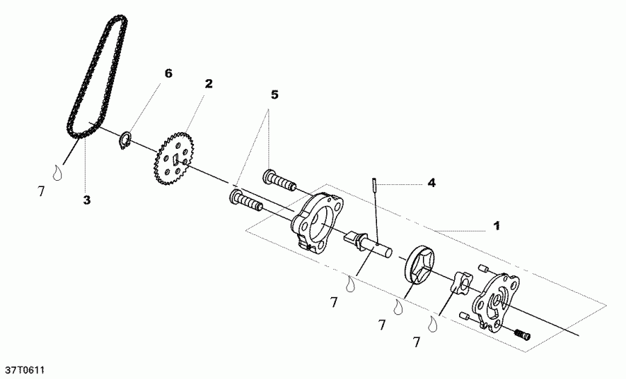   DS 250 NA / Inter, 2006  - Oil Pump