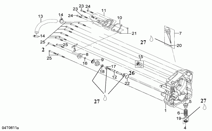 BRP ������ DS 250 NA / Inter, 2006 - ������ ������� � ������� �����