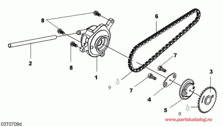 ATV BRP DS 250, CE, 2007  - Breather And Timing Chain