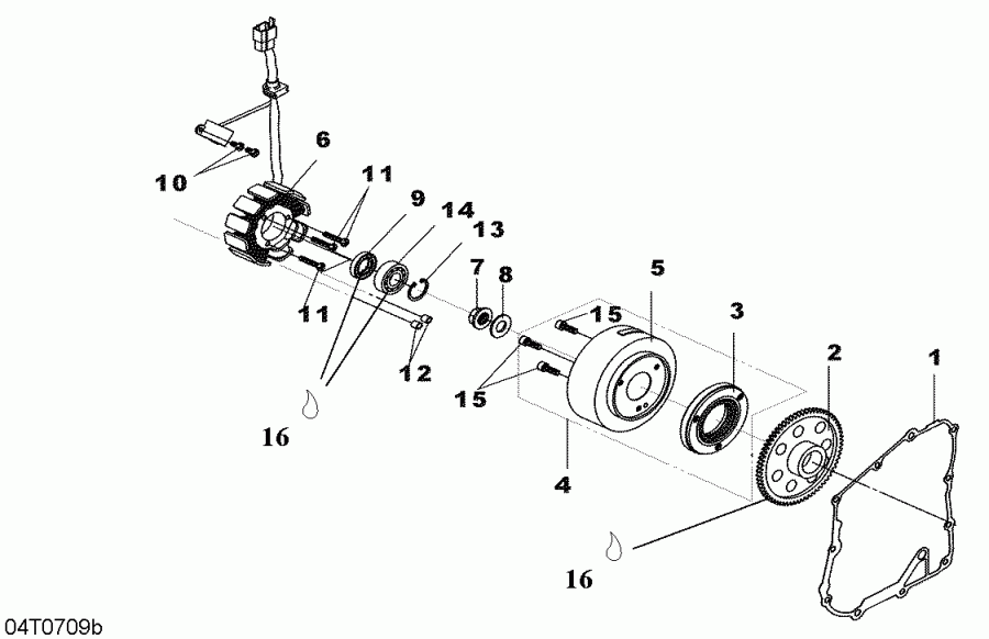 ATV  DS 250, CE, 2007 - Magneto