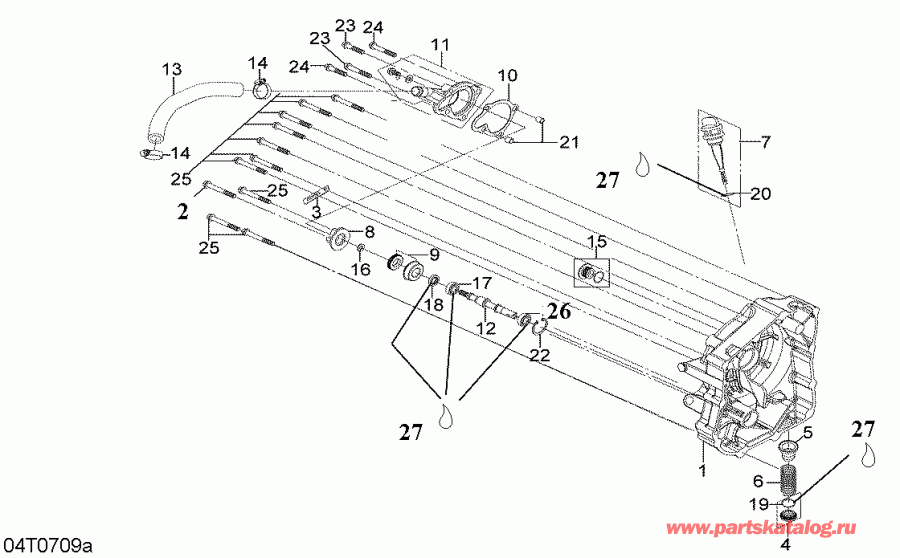   DS 250, CE, 2007 - Magneto Cover And Water Pump