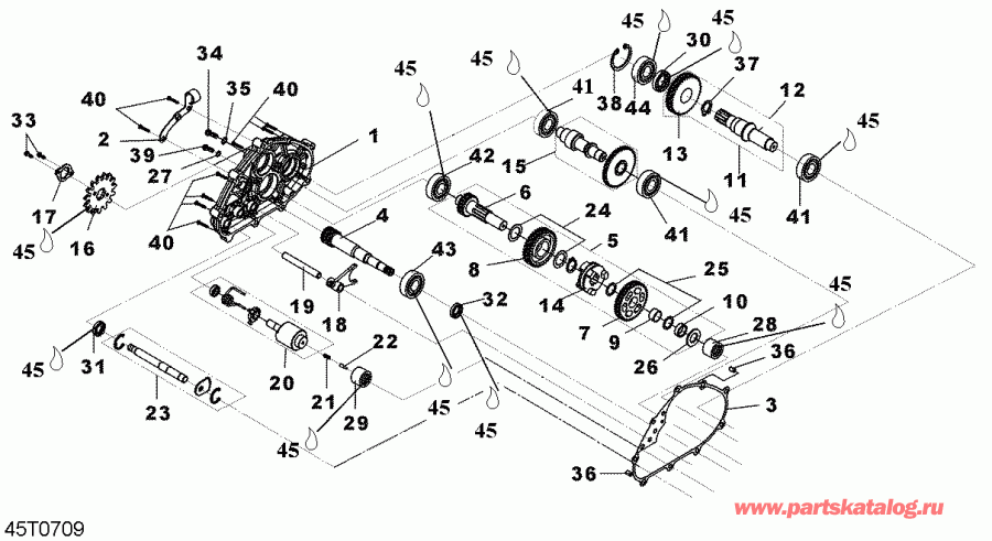   DS 250 NA / Inter, 2007  - Gear Box