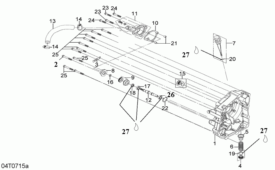 DS 250 NA / Inter, 2007  -     