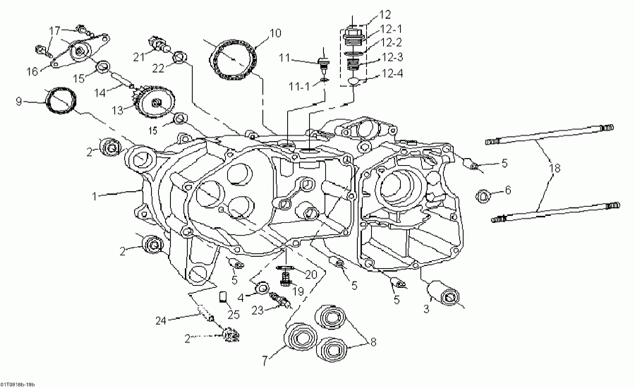   Mini DS 70cc 4T Jaune, 2008  - Crankcase, Left