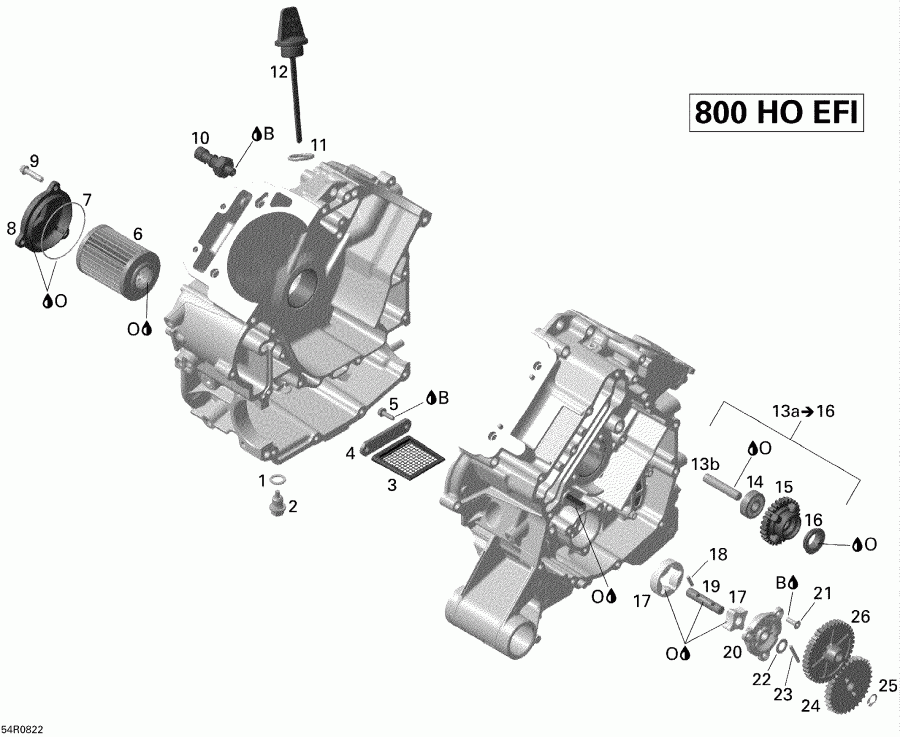  BRP - Engine Lubrication