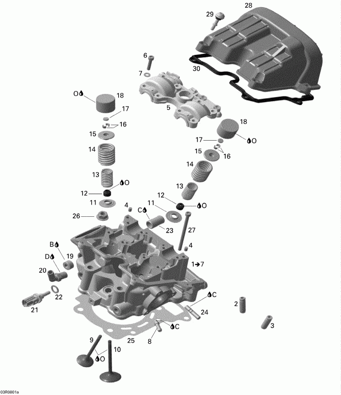  DS 450 CE STD & X (3F9D,3G9D), 2009 - Cylinder Head