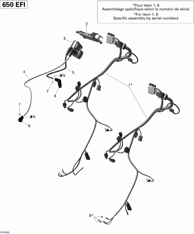 ����������  ����������� Outlander 650 EFI, 2010 - ��������� ���� �������� � Electronic Module