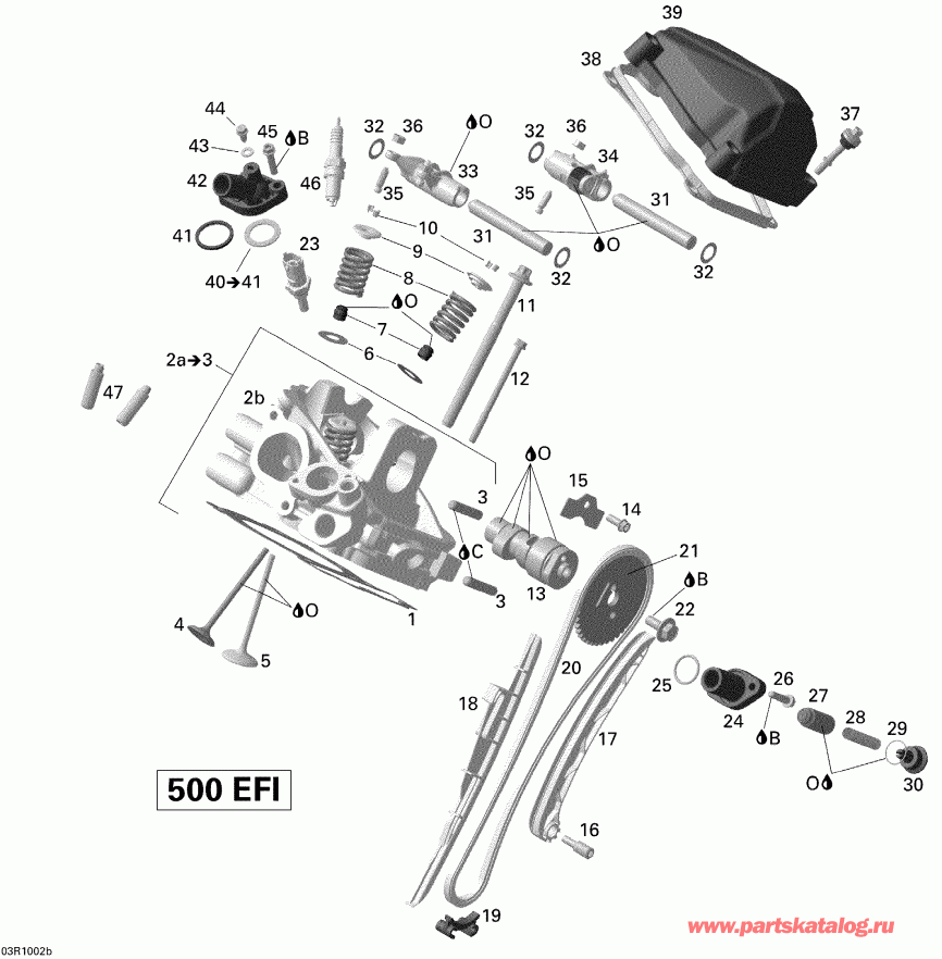 ATV BRP  Renegade 500 EFI, 2010 - Cylinder Head, Rear
