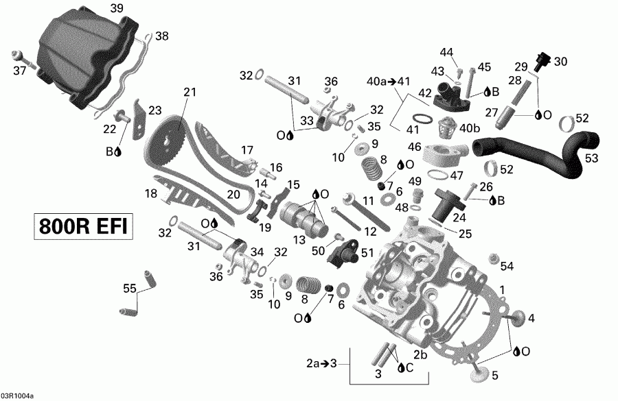Bombardier Renegade 800R EFI STD, 2010 ������ - Cylinder Head, Front