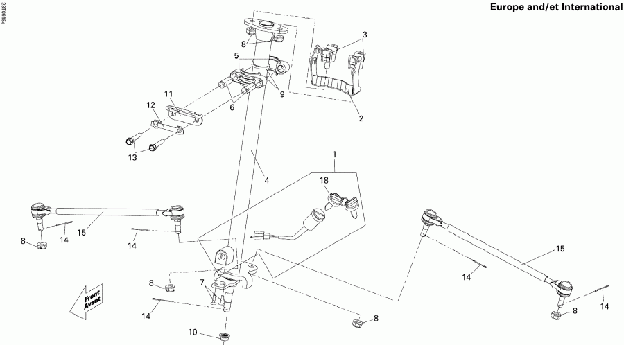 BRP  DS 250 NA, EUR & INT, 2014 - Steering Linkage Europe, International