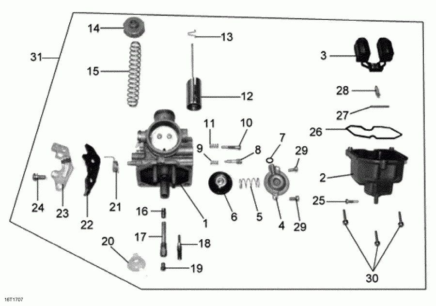  DS 250, 2017 - Carburetor