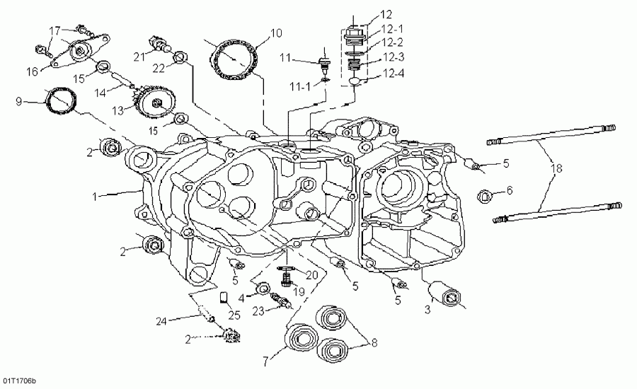  Bombardier DS 90 X, 2017 - Crankcase, Left