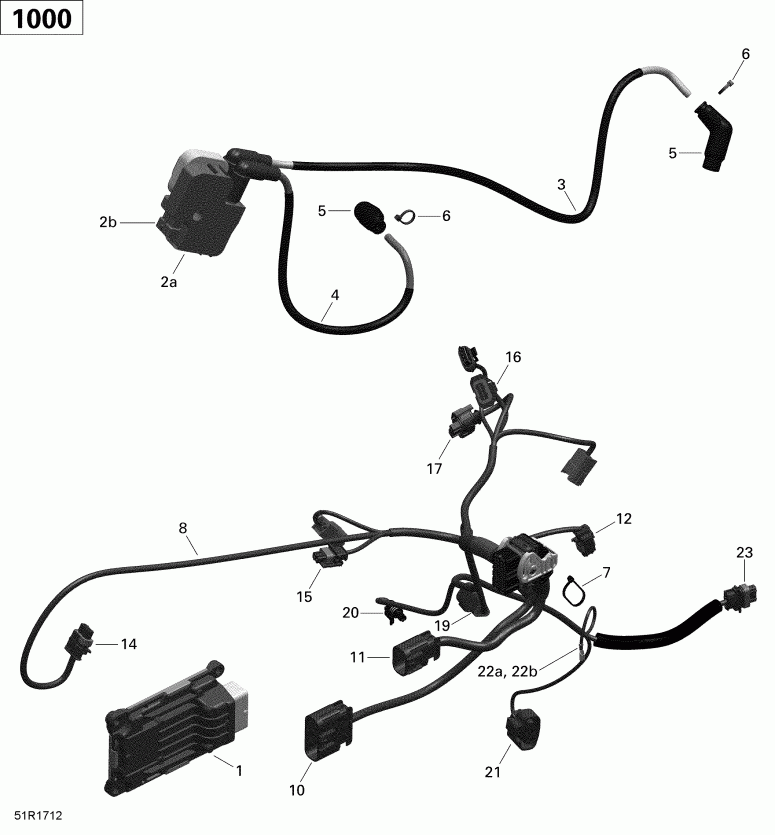  BRP  Outlander 6X6 - 1000 EFI, 2017 - Engine Harness And Electronic Module 6x6