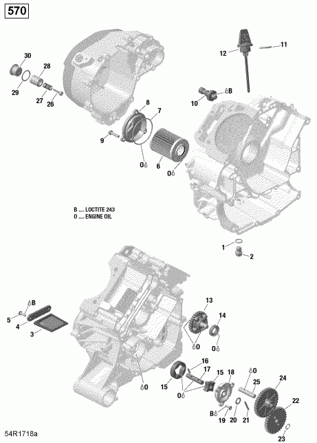    001 - Renegade 570 EFI - International, 2019 - Engine Lubrication 570 Efi