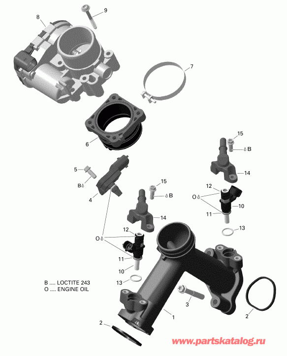 ATV  ������ 002 - Renegade 650 EFI - International, 2019 - Air Intake Manifold And Throttle Body Version 2