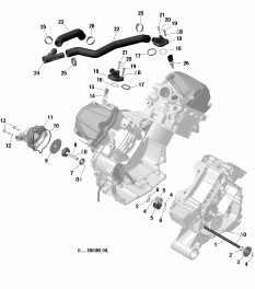 01-   (01- Engine Cooling)