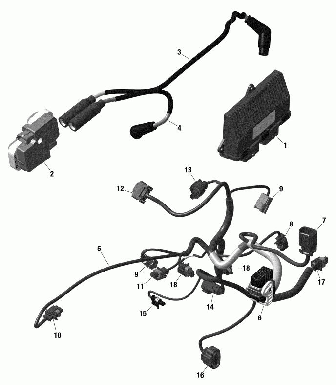 ATV BRP  004 - Renegade 1000R EFI - International - Non European Communities, 2019 - Engine Harness And Electronic Module Renegade