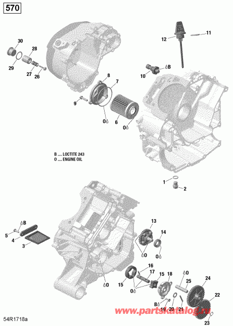 BRP  007 - Outlander MAX 570 EFI - International - Non European Communities, 2019 - Engine Lubrication 570 Efi