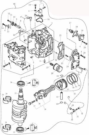 ��������� � ����� (��������� ��������) (Power Head Assy)