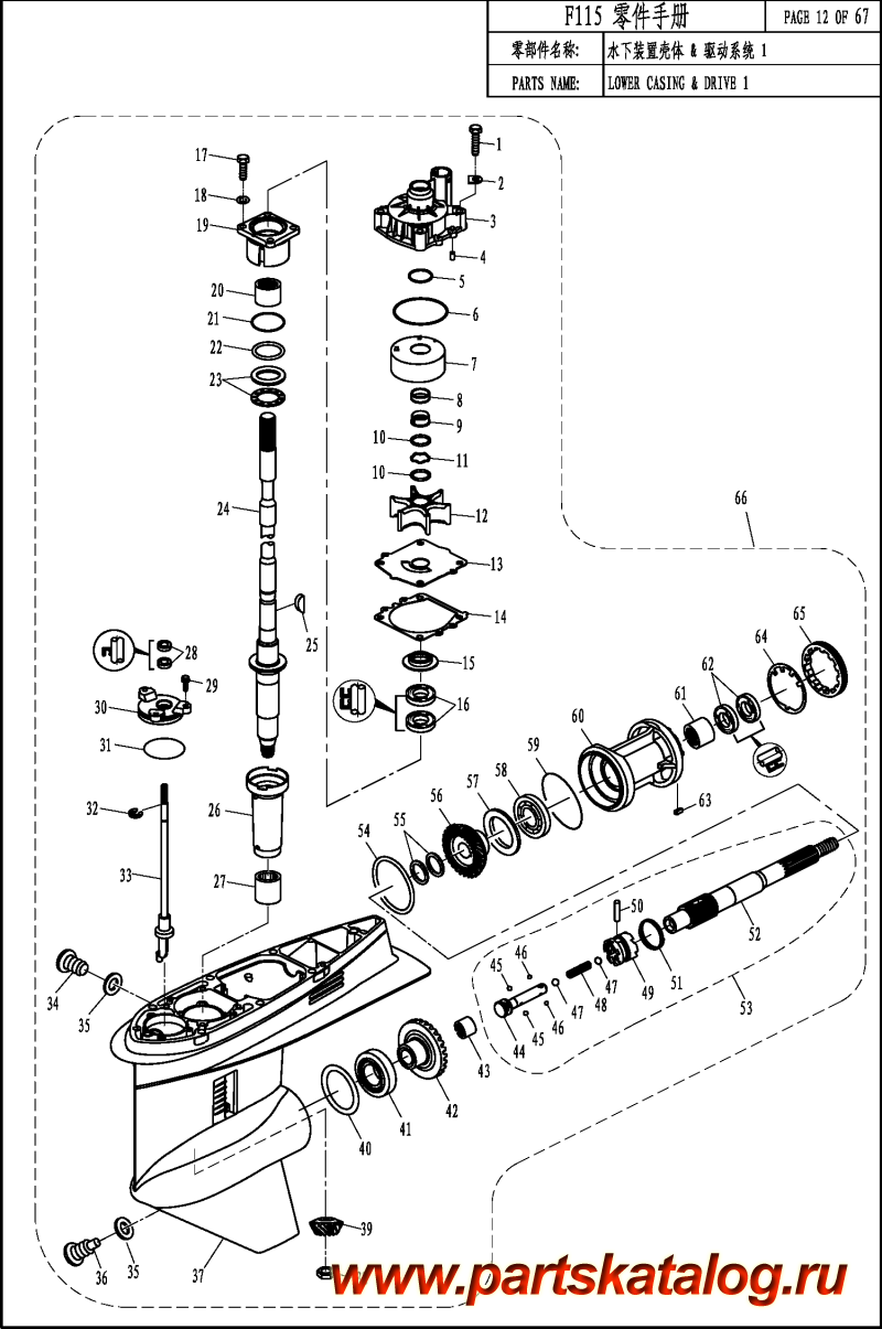  ,    , ,  F100 LOWER CASING & DRIVE 1 (F115) /     1 (F115)