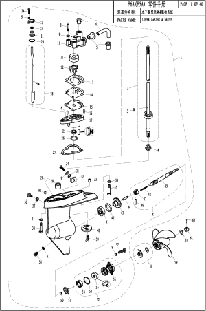 LOWER CASING &  DRIVE (�������� � �����������)