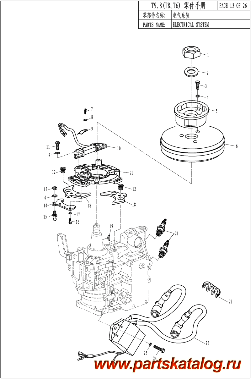 ������������ ��������, �� �������� �����, Parsun,  T8 ELECTRICAL SYSTEM