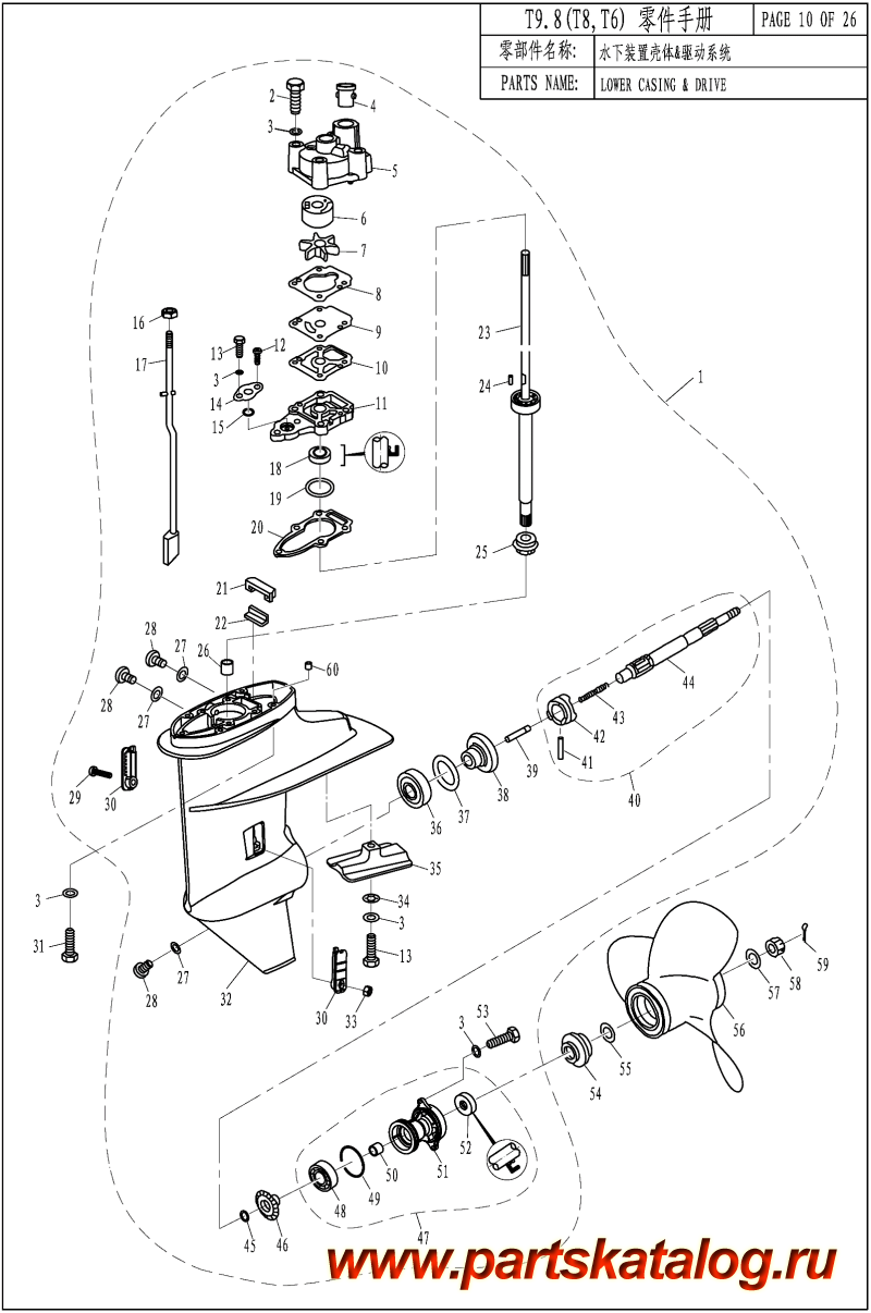 ,    , ,  T9.8 LOWER CASING & DRIVE