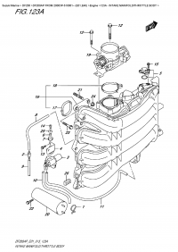 123A  -  Intake Manifold/throttle  Body (123A -   /  )