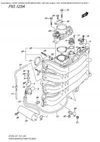 123A  -  Intake Manifold/throttle  Body (123A -   /  )