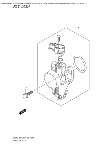 163A - Throttle Body (163A -  )