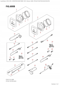 600B - Opt:multi Function Gauge (600B - : multi Function Gauge)