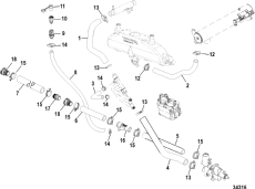 Cooling System, Raw Water Components, Starboard (���������� System, Raw Water Components, Starboard)