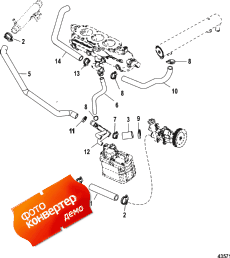 Cooling System, Raw Water Components, Starboard (���������� System, Raw Water Components, Starboard)