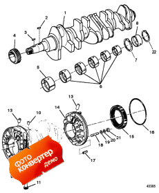 Crankshaft (��������)