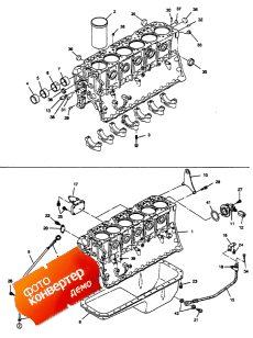 Cylinder Block ( )