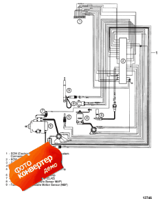 Edi Harness (Edi ���� ��������)