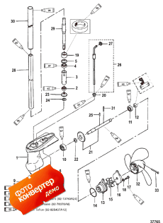 Gear Housing Assembly (    )