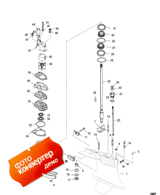 Gear Housing (drive) Standard/counter Rotatation-sportmaster (�������� ������ (drive) �������� / counter Rotatation-sportmaster)