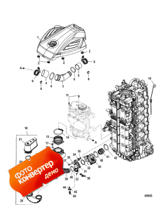 Induction Components (Induction Components)