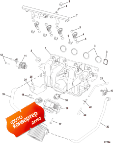 Induction System, Fuel Rail, Throttle Body, Intake Manifold (Induction System, ��������� ����������, �������� ����, �������� ���������)