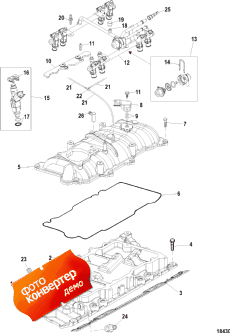 Intake Manifold And Fuel Rail (�������� ��������� � ��������� ����������)