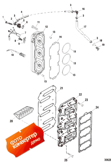 Reed Block And Cylinder Head (Reed Block    )