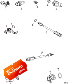 Senders And Sensors (������s � �������)