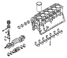 Short Block (Short Block)