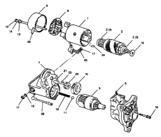 Starter Assembly ( Assembly)