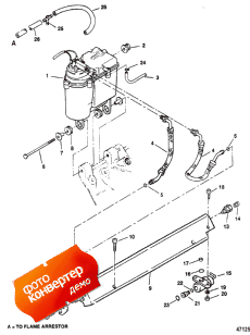 Vapor Separator Tank And Fuel Rail (�������������� Tank � ��������� ����������)